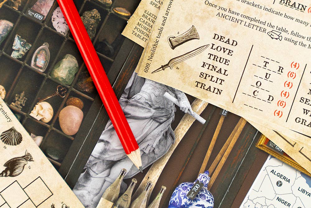 Professor Puzzle USA, Inc. - Mini Escape from the Museum Game