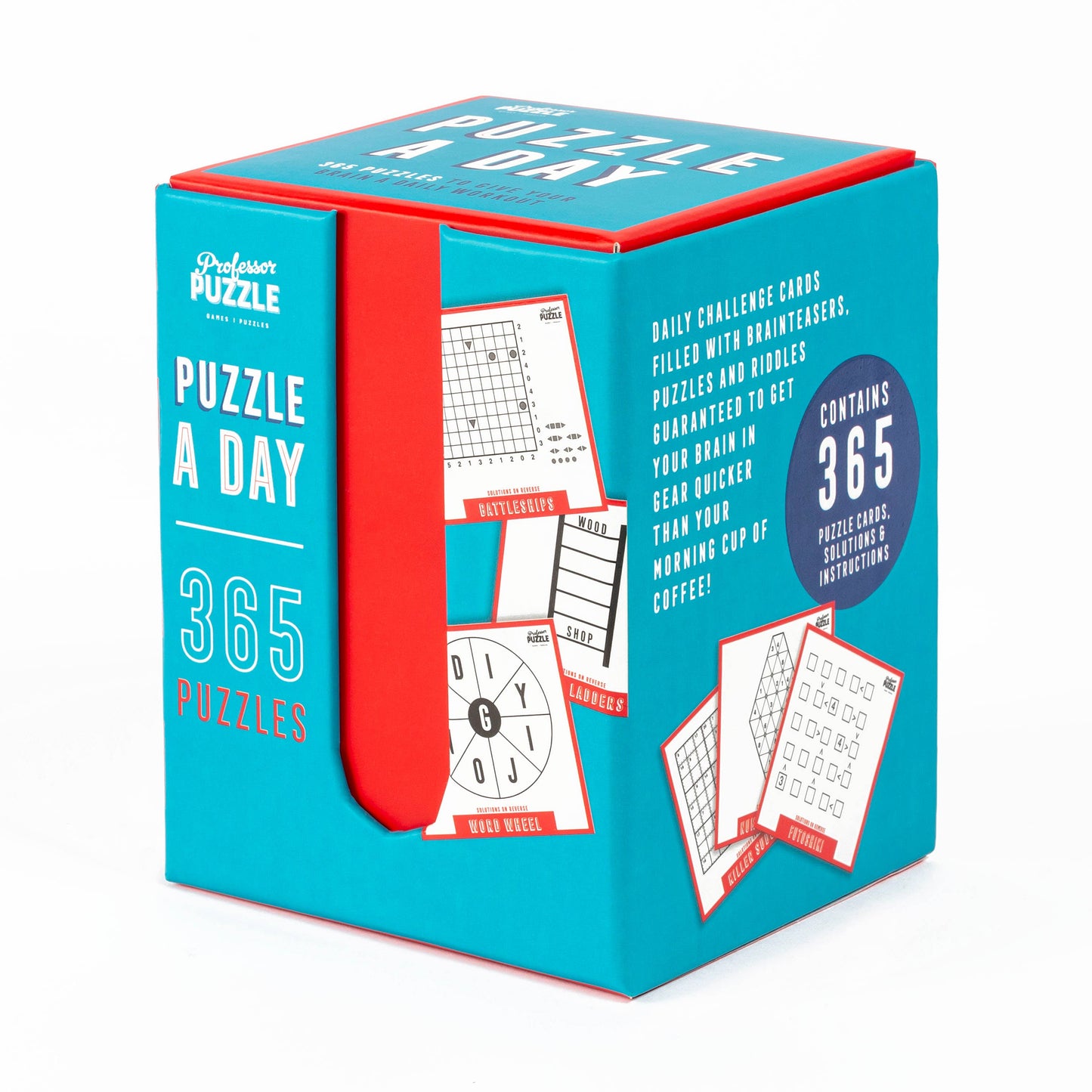 Puzzle book titled 'Puzzle a Day' with blue and red design on a white background