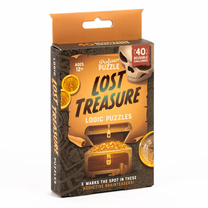 Professor Puzzle USA, Inc. - Lost Treasure Logic Puzzles