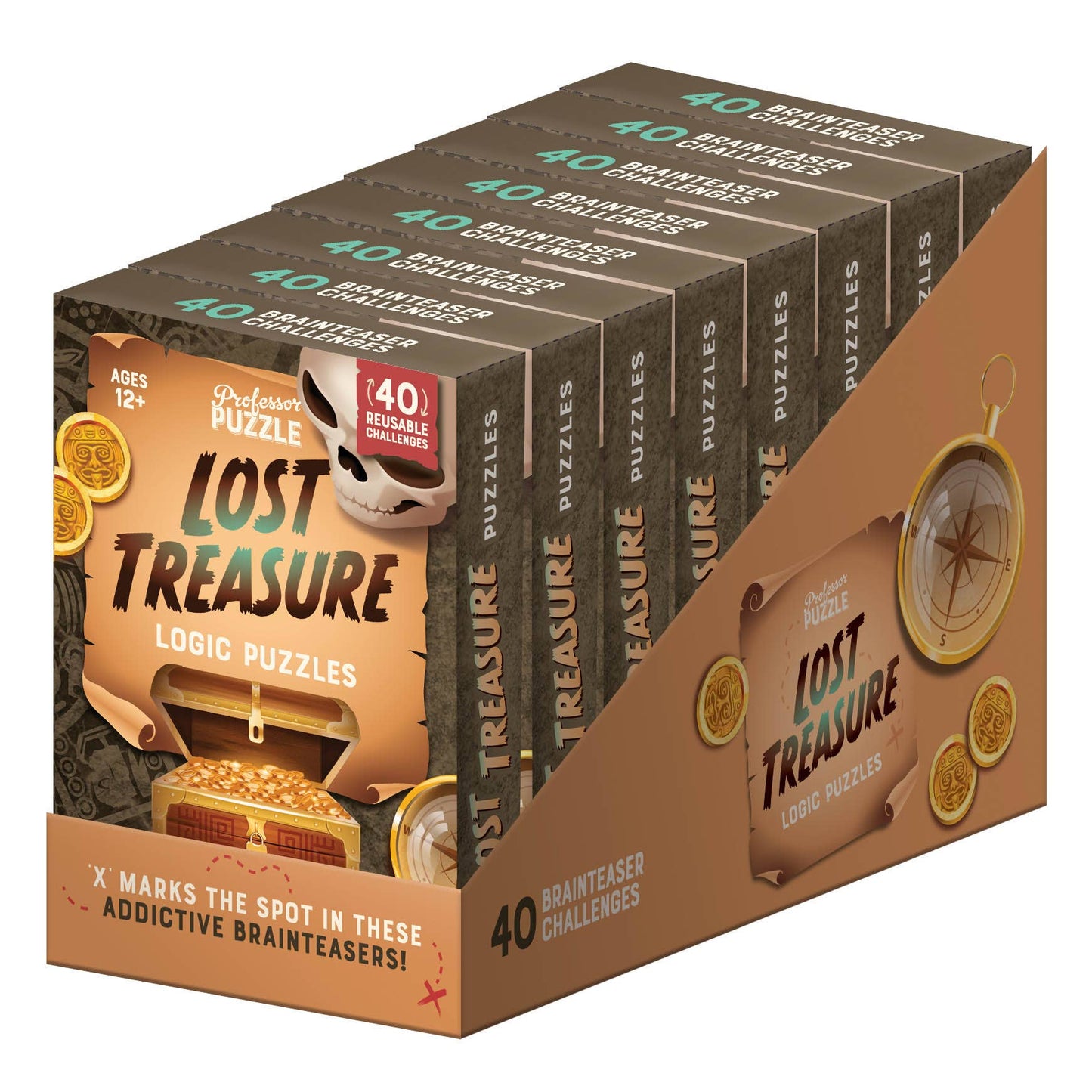 Professor Puzzle USA, Inc. - Lost Treasure Logic Puzzles