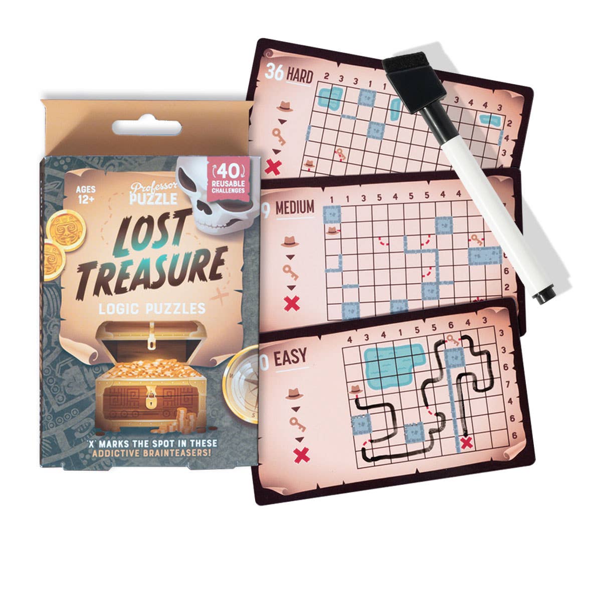 Professor Puzzle USA, Inc. - Lost Treasure Logic Puzzles