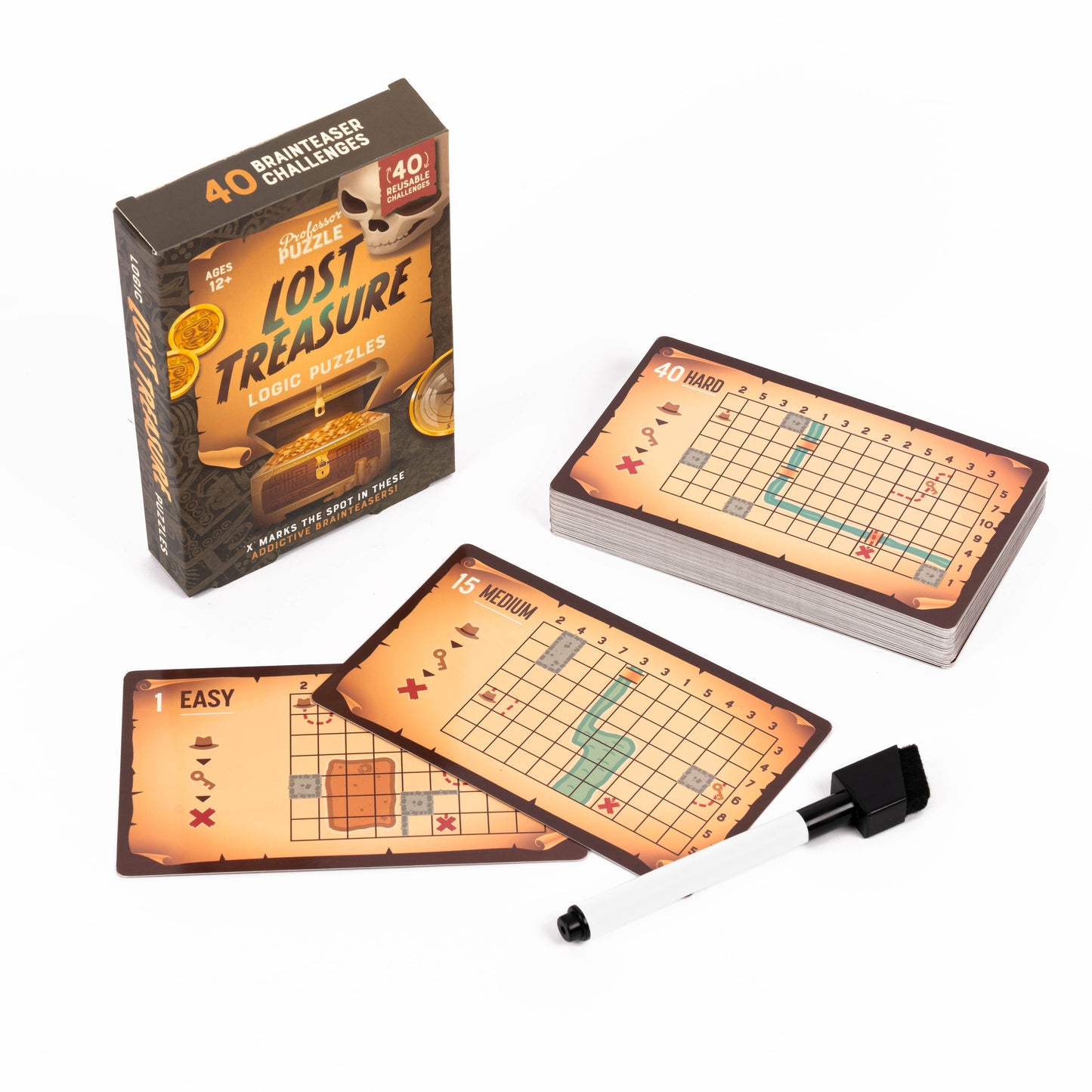 Professor Puzzle USA, Inc. - Lost Treasure Logic Puzzles