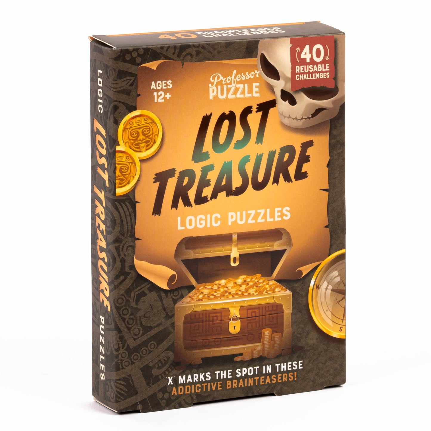 Professor Puzzle USA, Inc. - Lost Treasure Logic Puzzles